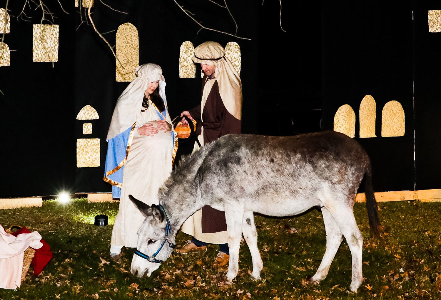 Live Nativity 7